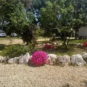 Nature Сasa de vacaciones